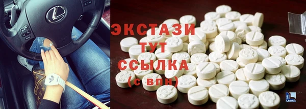 гашик Алексин