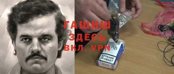 гашик Алексин