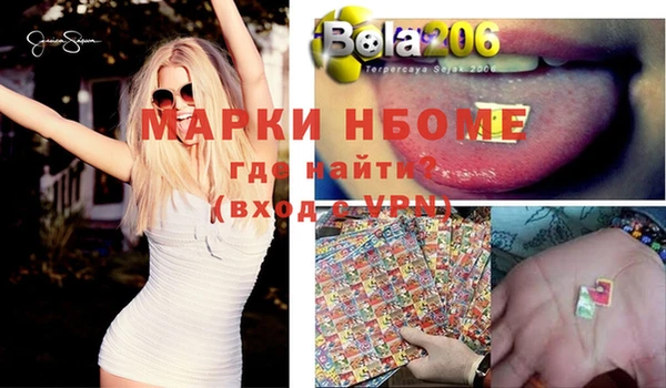 гашик Алексин