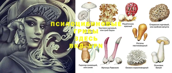 герыч Алексеевка