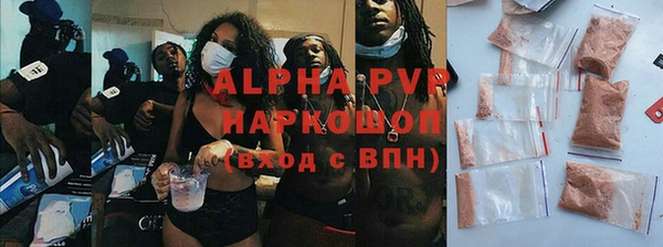 прущие грибы Семикаракорск