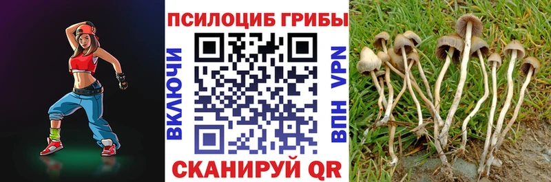 MEGA tor Аргун Галлюциногенные грибы Cubensis