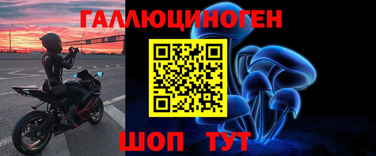 Псилоцибиновые грибы прущие грибы  Вход с VPN  Аргун  Псилоцибиновые грибы GOLDEN TEACHER 
